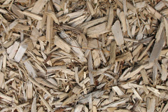 biomass boilers Middletown